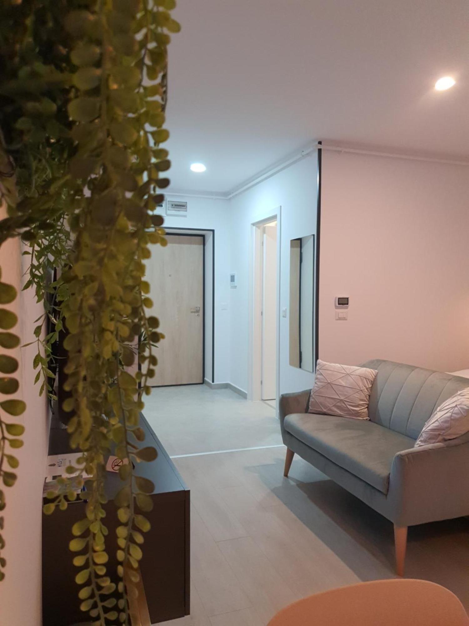 Premium Hils Brauner Studio Bucureşti Ngoại thất bức ảnh